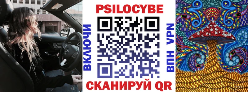 mega как зайти  что такое   Ясногорск  Псилоцибиновые грибы GOLDEN TEACHER 