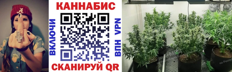 Каннабис конопля Ясногорск